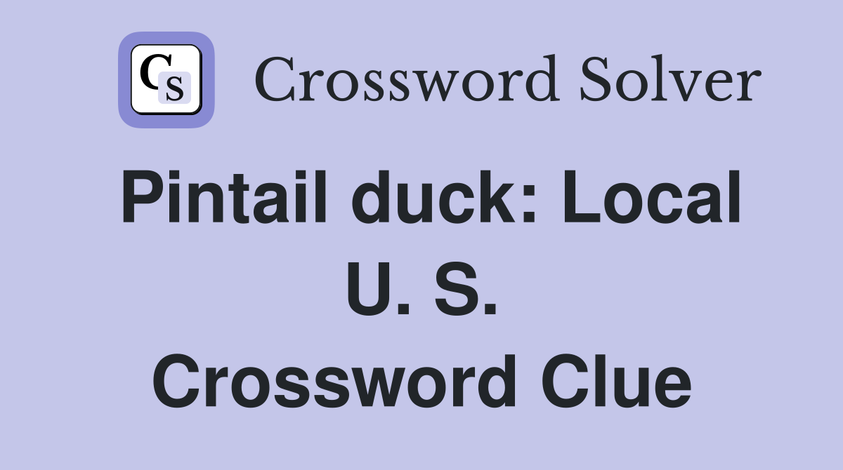 Pintail duck: Local U. S. Crossword Clue