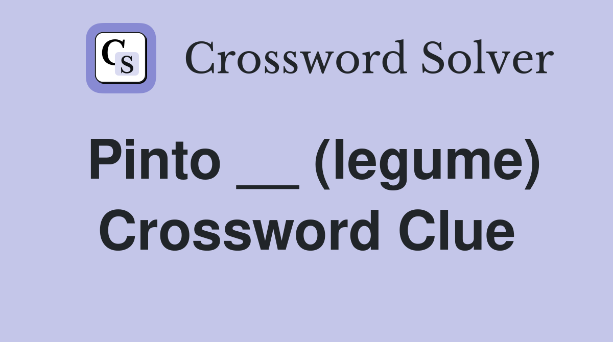 Pinto __ (legume) Crossword Clue