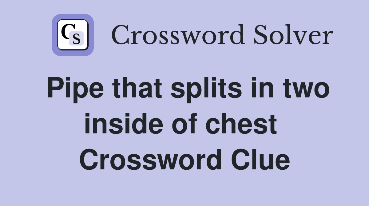 Pipe that splits in two inside of chest  Crossword Clue