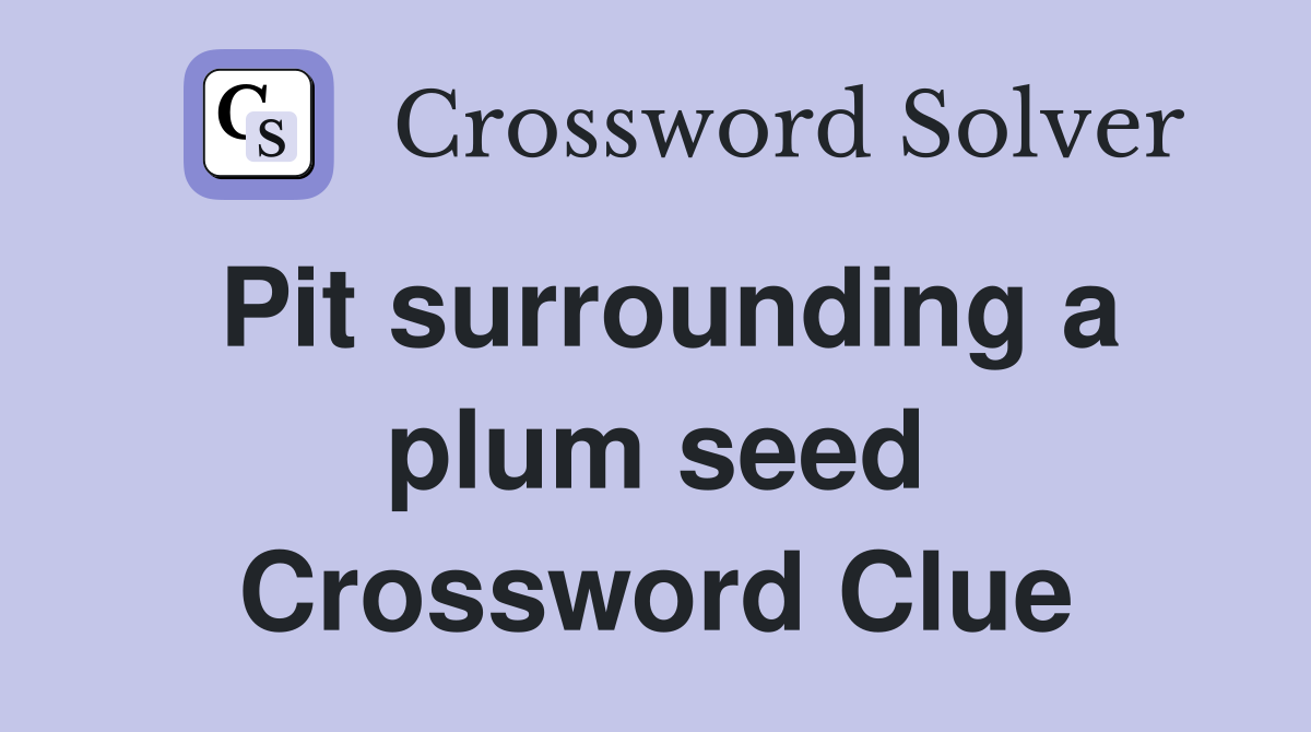 Pit surrounding a plum seed Crossword Clue