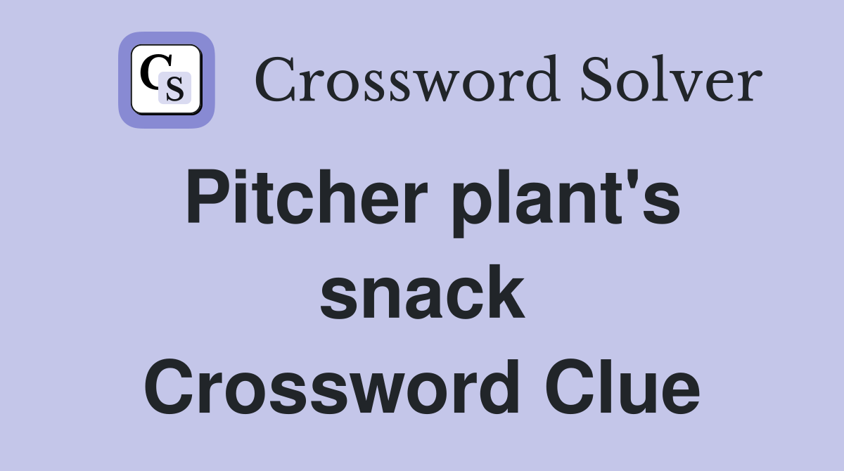 Pitcher plant's snack Crossword Clue