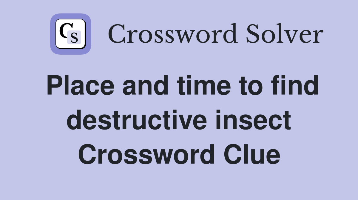 Place and time to find destructive insect Crossword Clue