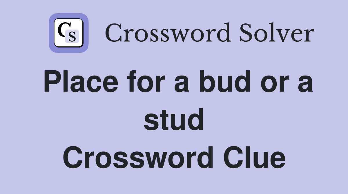 Place for a bud or a stud Crossword Clue