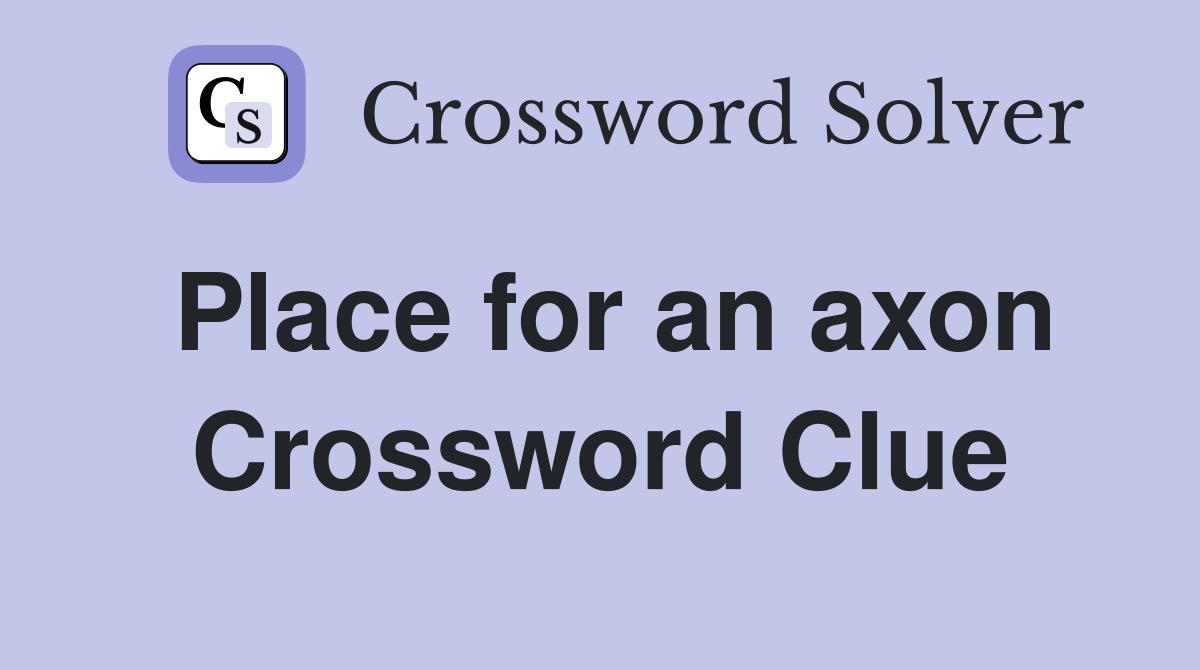 Place for an axon Crossword Clue
