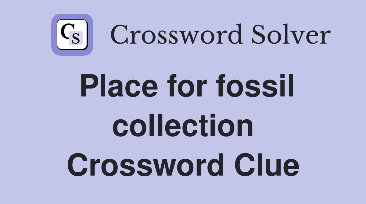 Place for fossil collection Crossword Clue