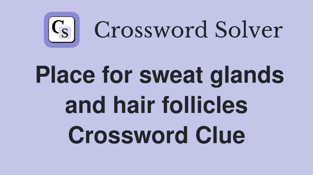 Place for sweat glands and hair follicles Crossword Clue