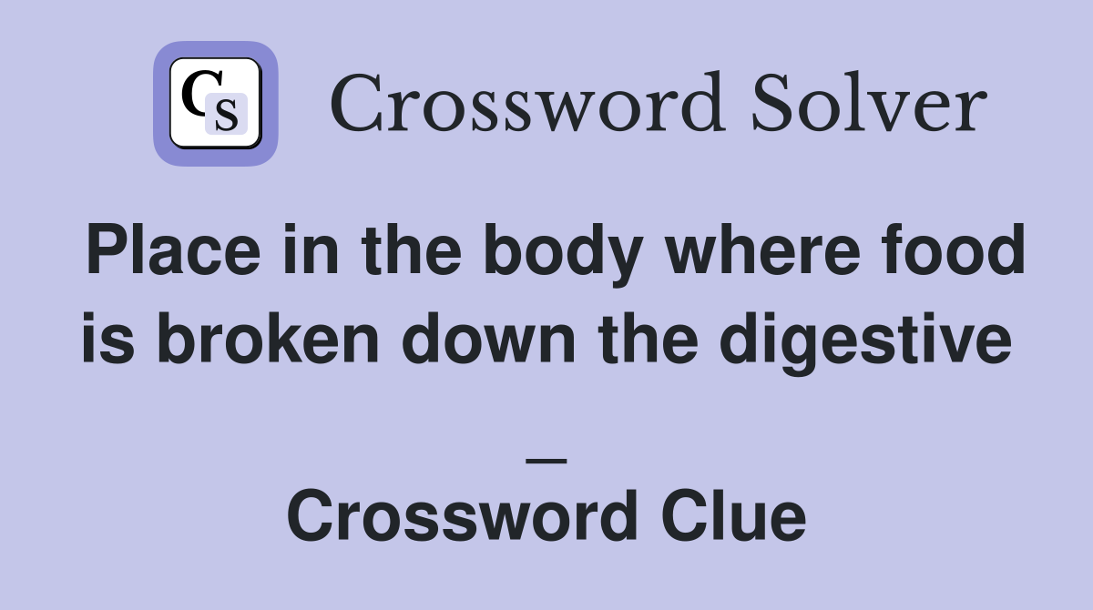 Place in the body where food is broken down the digestive _ Crossword Clue