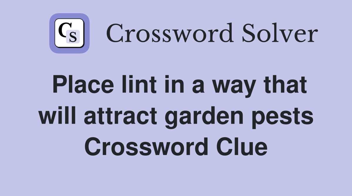 Place lint in a way that will attract garden pests Crossword Clue