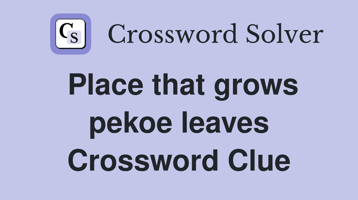 Place that grows pekoe leaves Crossword Clue