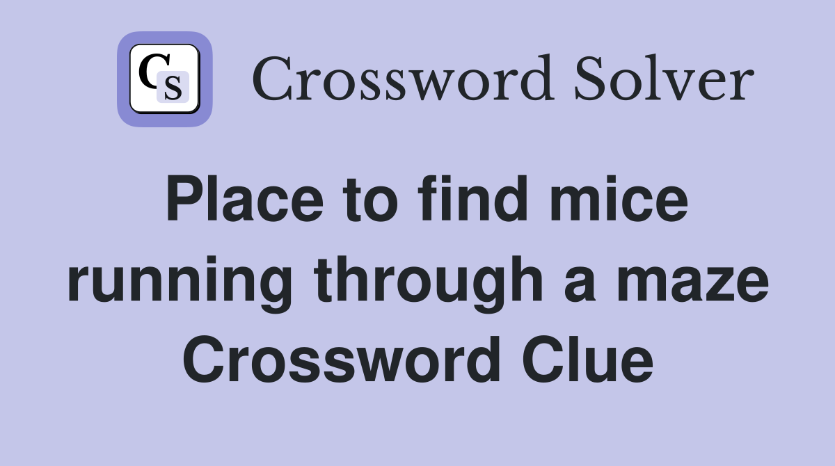 Place to find mice running through a maze Crossword Clue