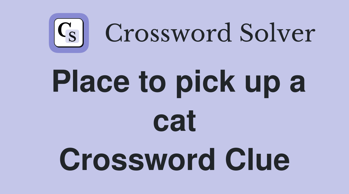 Place to pick up a cat Crossword Clue