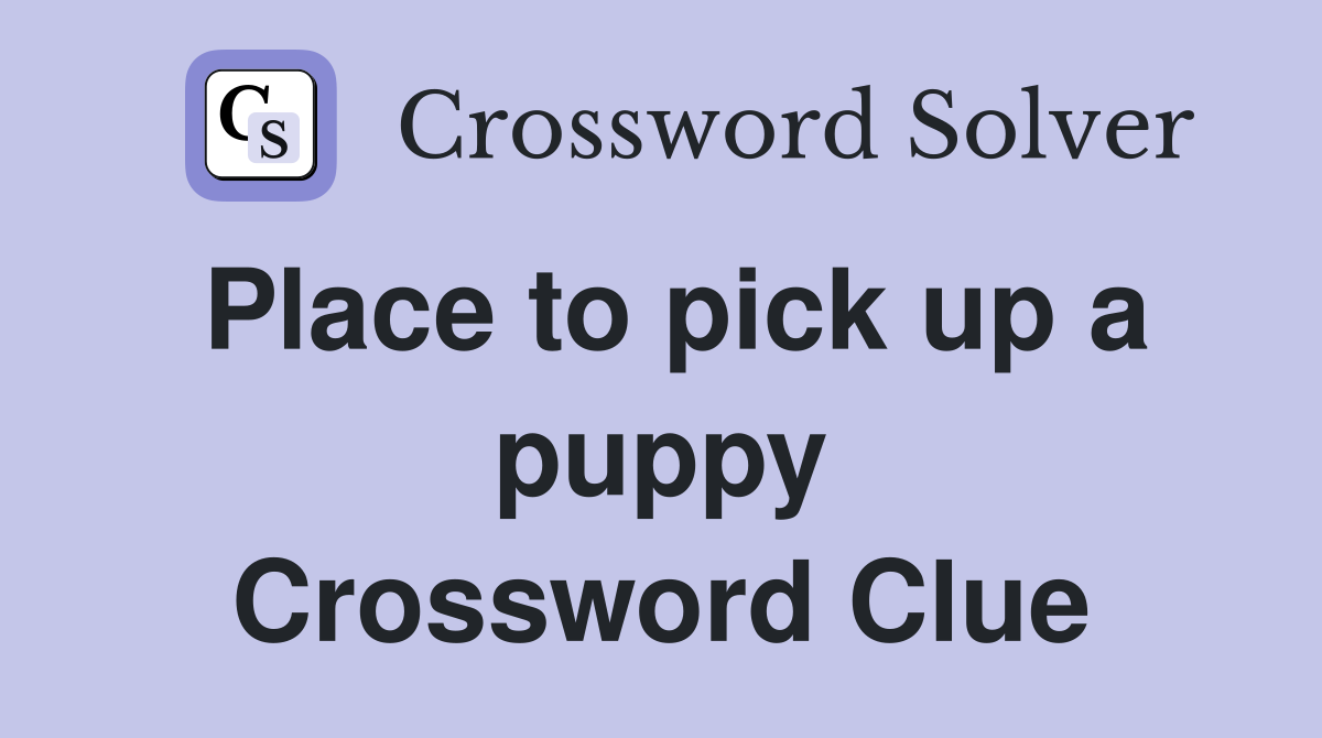 Place to pick up a puppy Crossword Clue