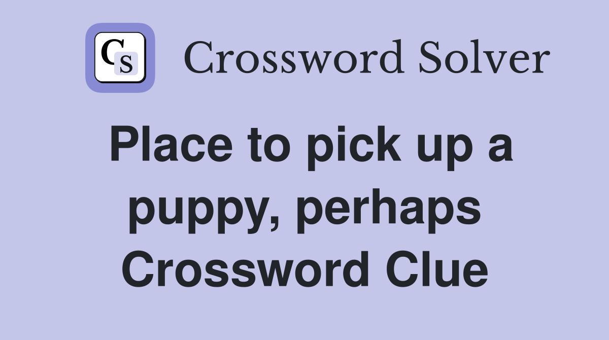Place to pick up a puppy, perhaps Crossword Clue