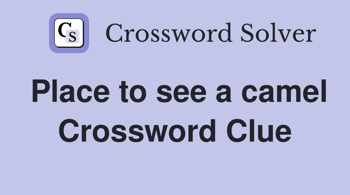 Place to see a camel Crossword Clue