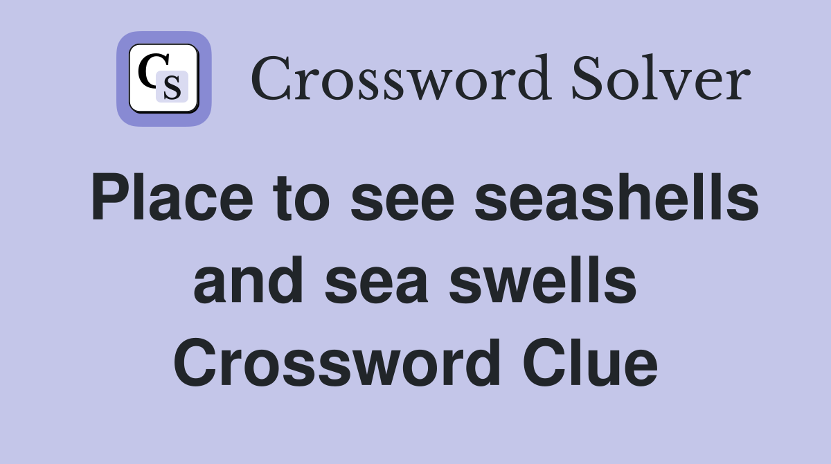 Place to see seashells and sea swells Crossword Clue