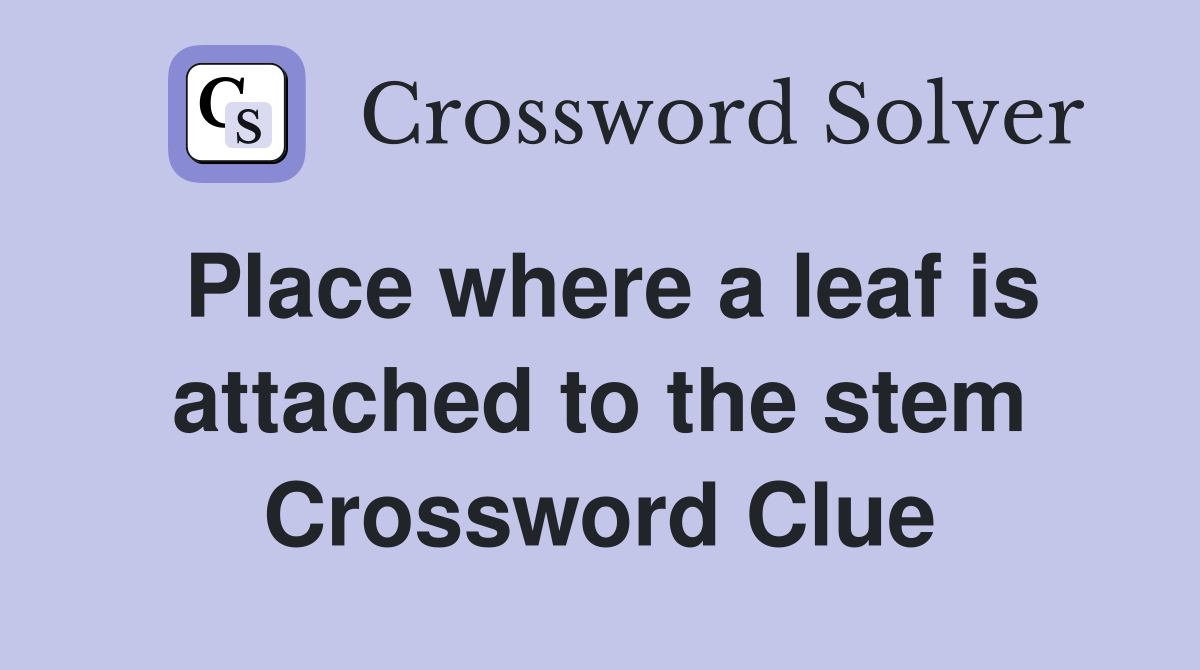 Place where a leaf is attached to the stem Crossword Clue