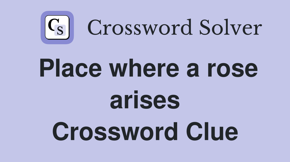 Place where a rose arises Crossword Clue
