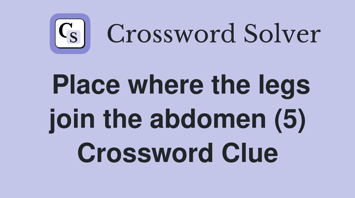 Place where the legs join the abdomen (5) Crossword Clue