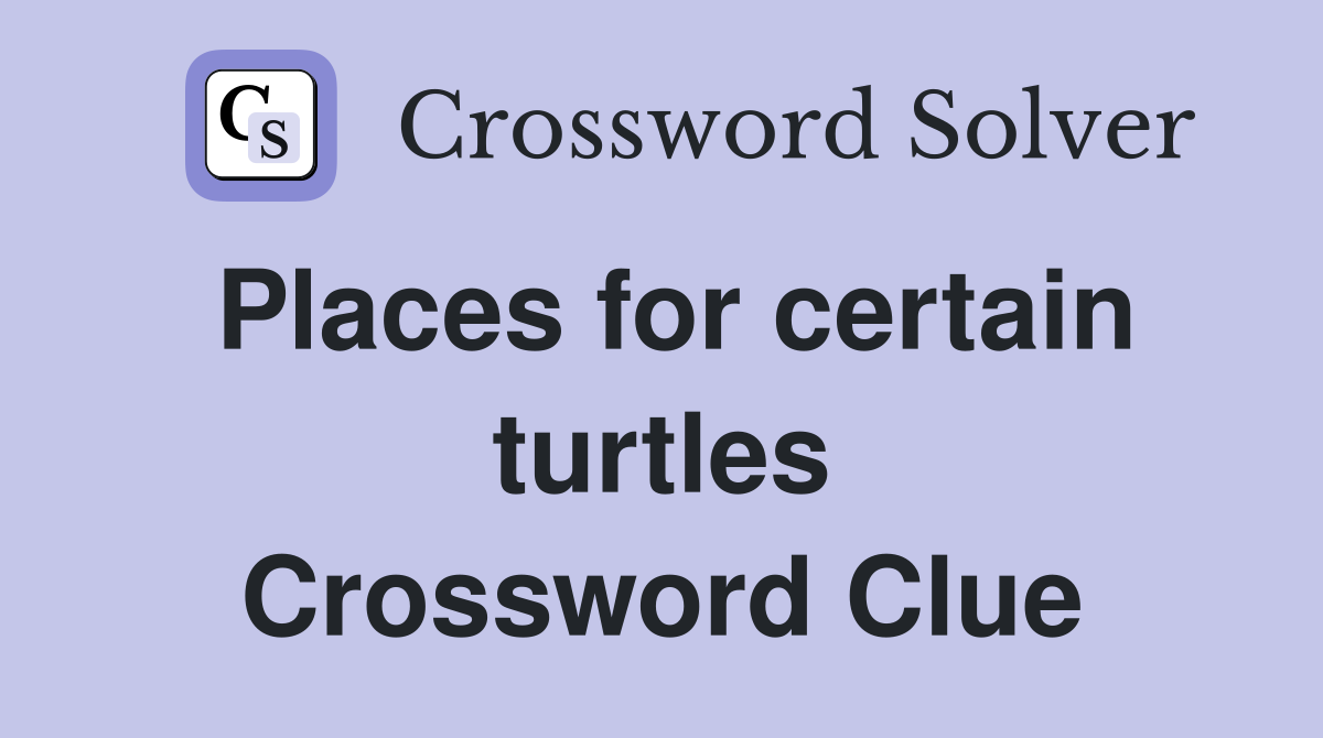 Places for certain turtles Crossword Clue