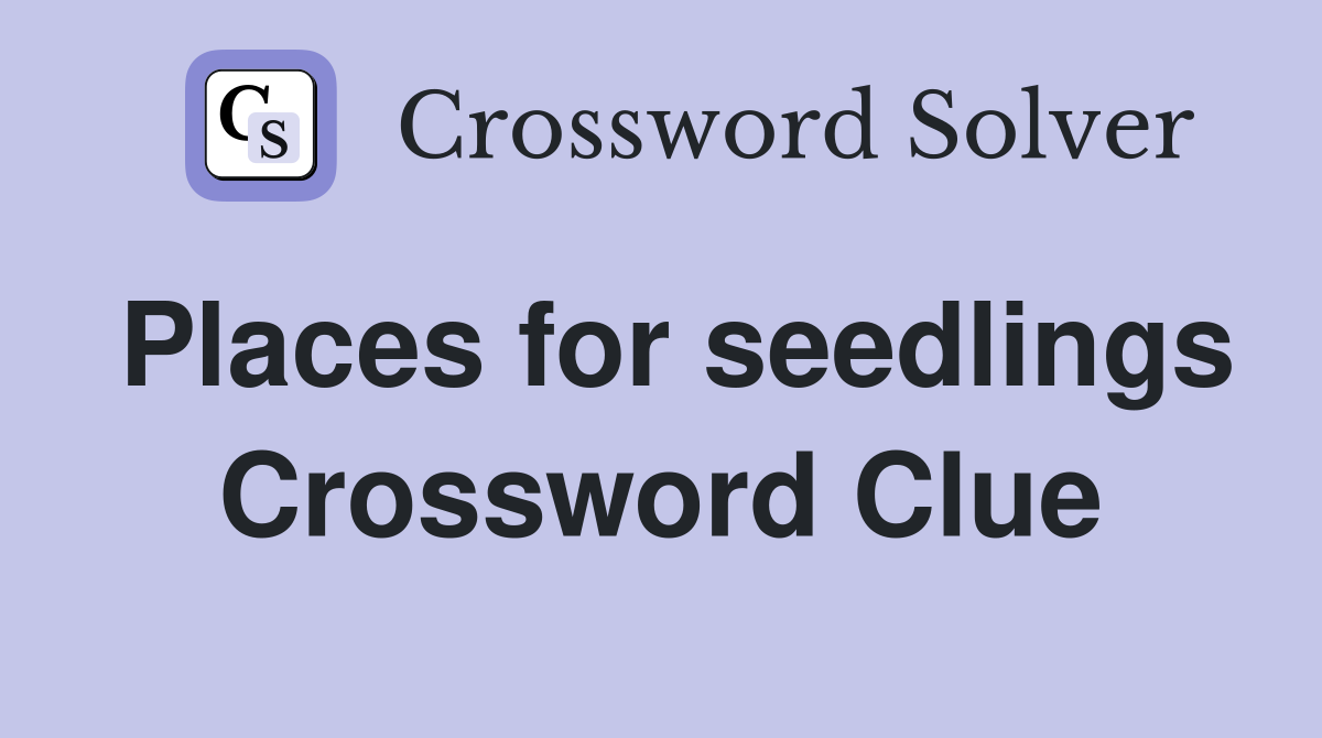 Places for seedlings Crossword Clue