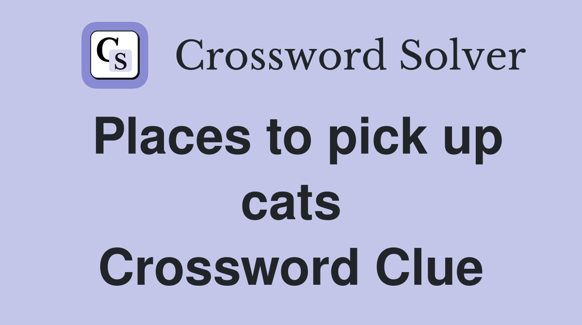 Places to pick up cats Crossword Clue