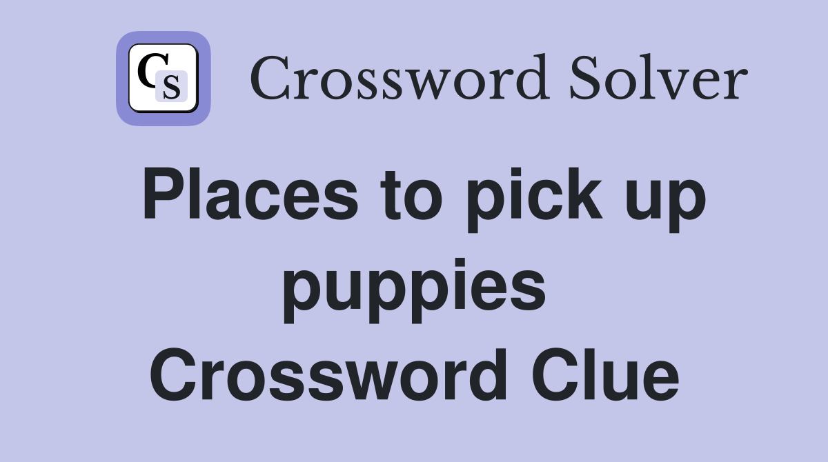 Places to pick up puppies Crossword Clue