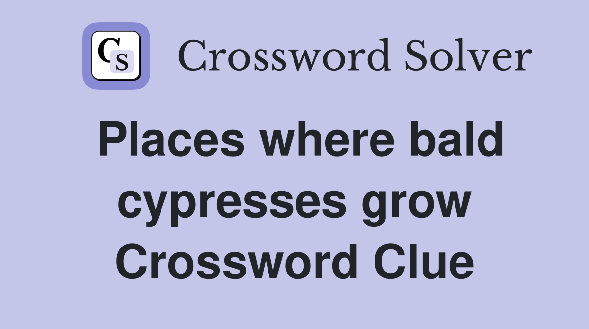 Places where bald cypresses grow Crossword Clue