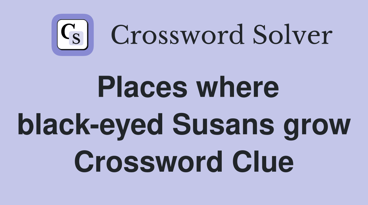 Places where black-eyed Susans grow Crossword Clue