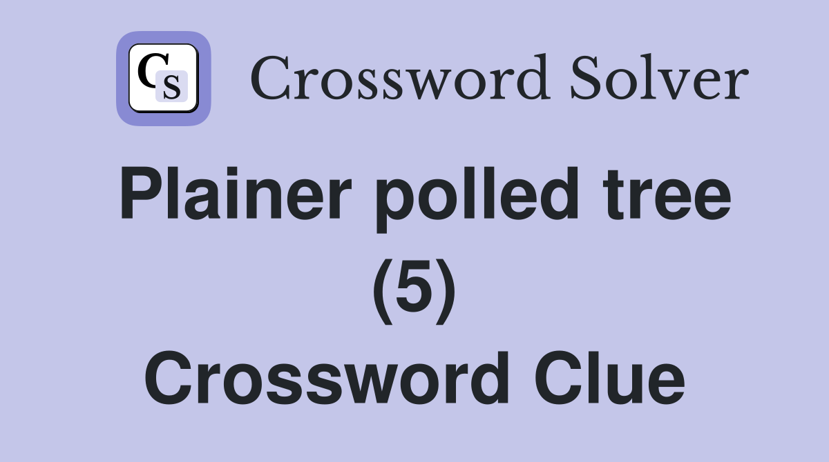 Plainer polled tree (5) Crossword Clue