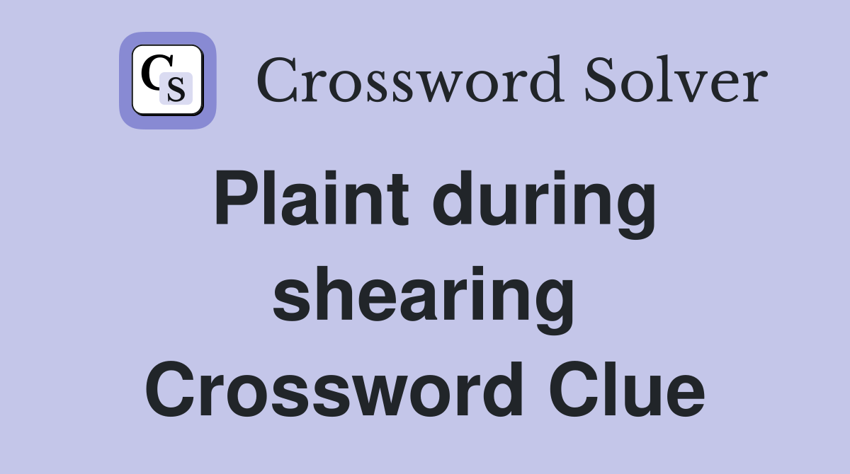 Plaint during shearing Crossword Clue