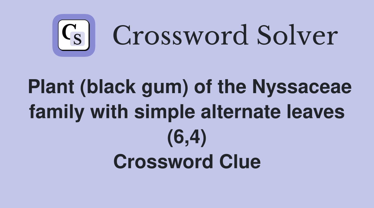 Plant (black gum) of the Nyssaceae family with simple alternate leaves (6,4) Crossword Clue