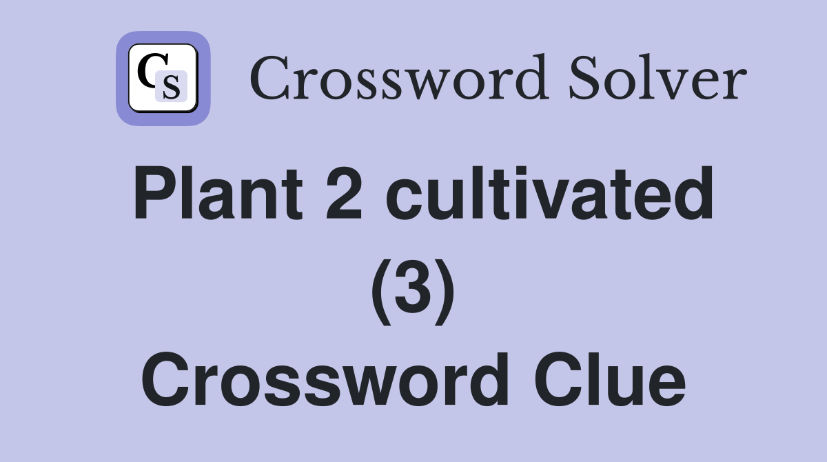 Plant 2 cultivated (3) Crossword Clue