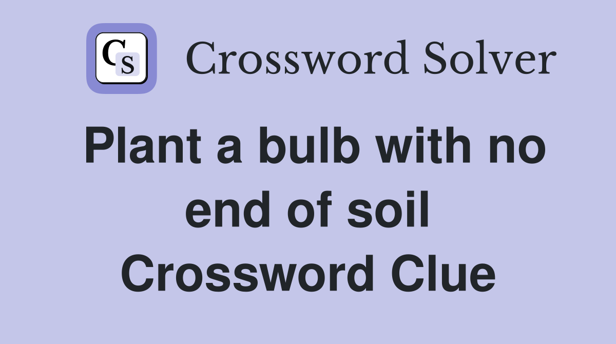 Plant a bulb with no end of soil Crossword Clue