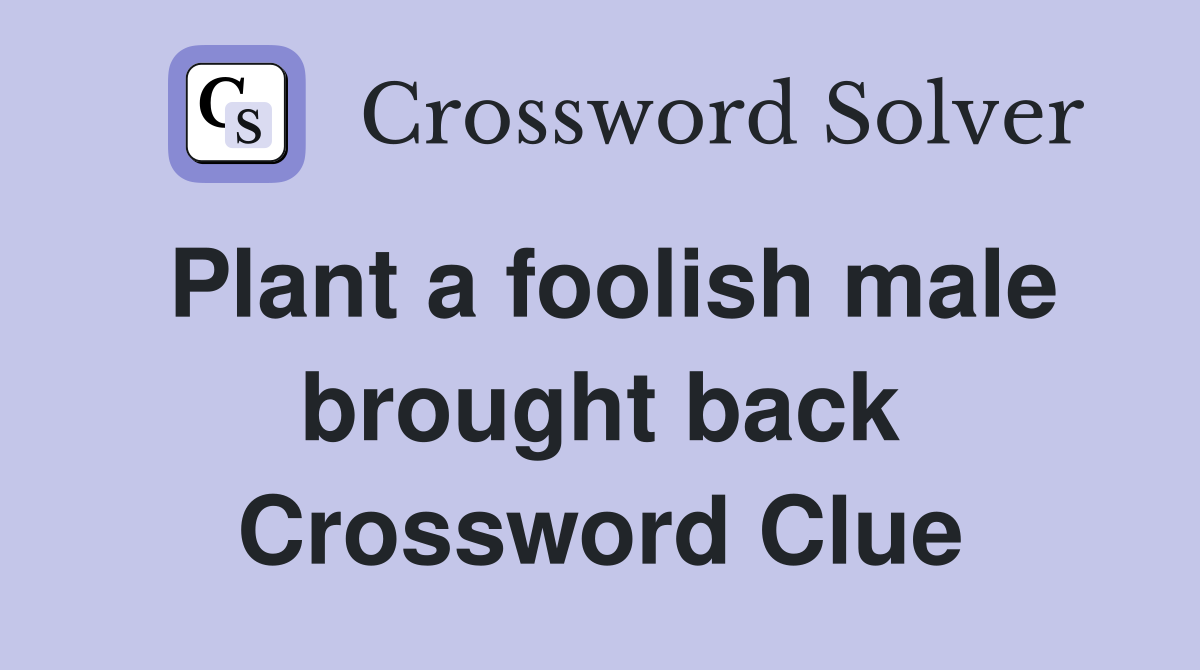 Plant a foolish male brought back Crossword Clue