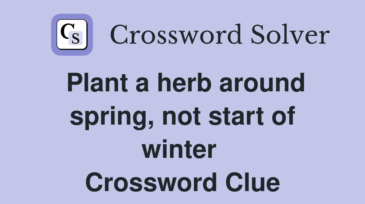 Plant a herb around spring, not start of winter  Crossword Clue