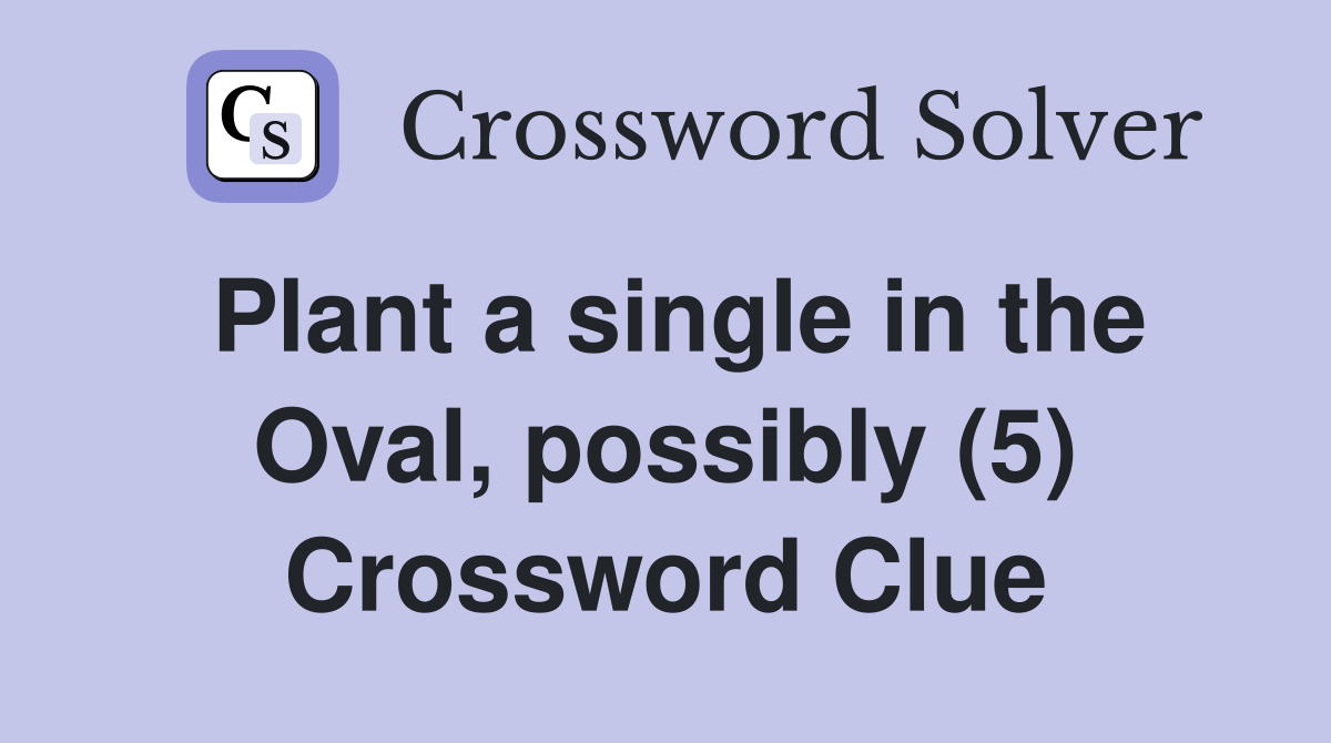 Plant a single in the Oval, possibly (5) Crossword Clue