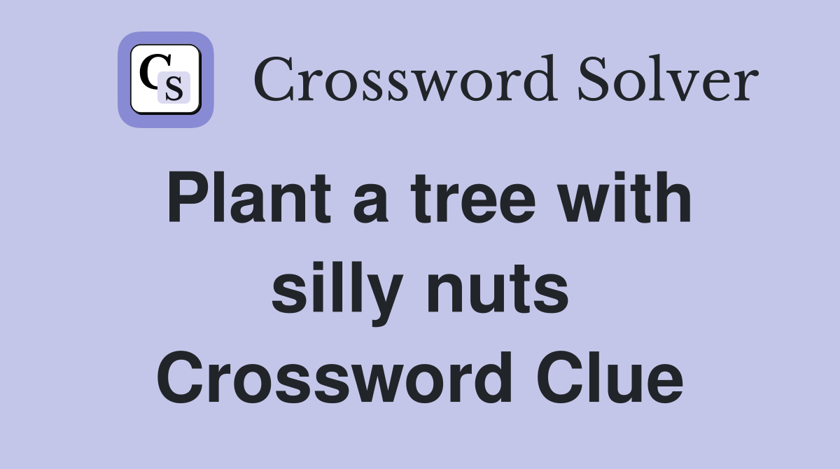 Plant a tree with silly nuts Crossword Clue