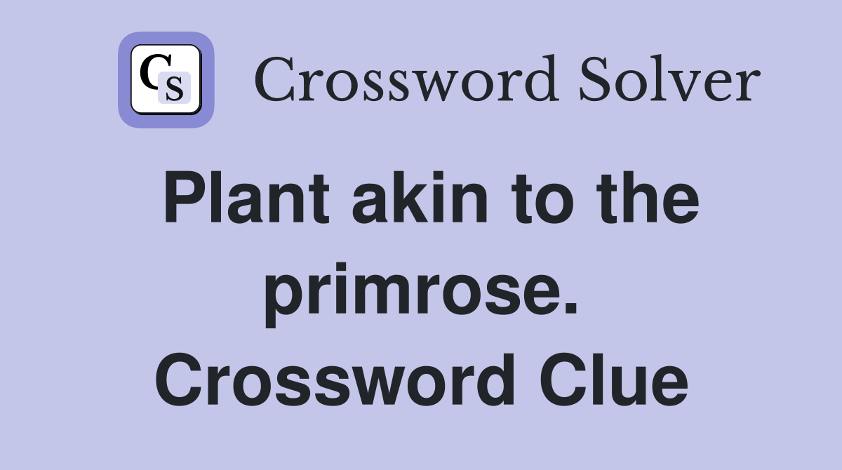 Plant akin to the primrose. Crossword Clue