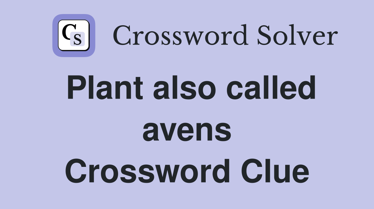 Plant also called avens Crossword Clue