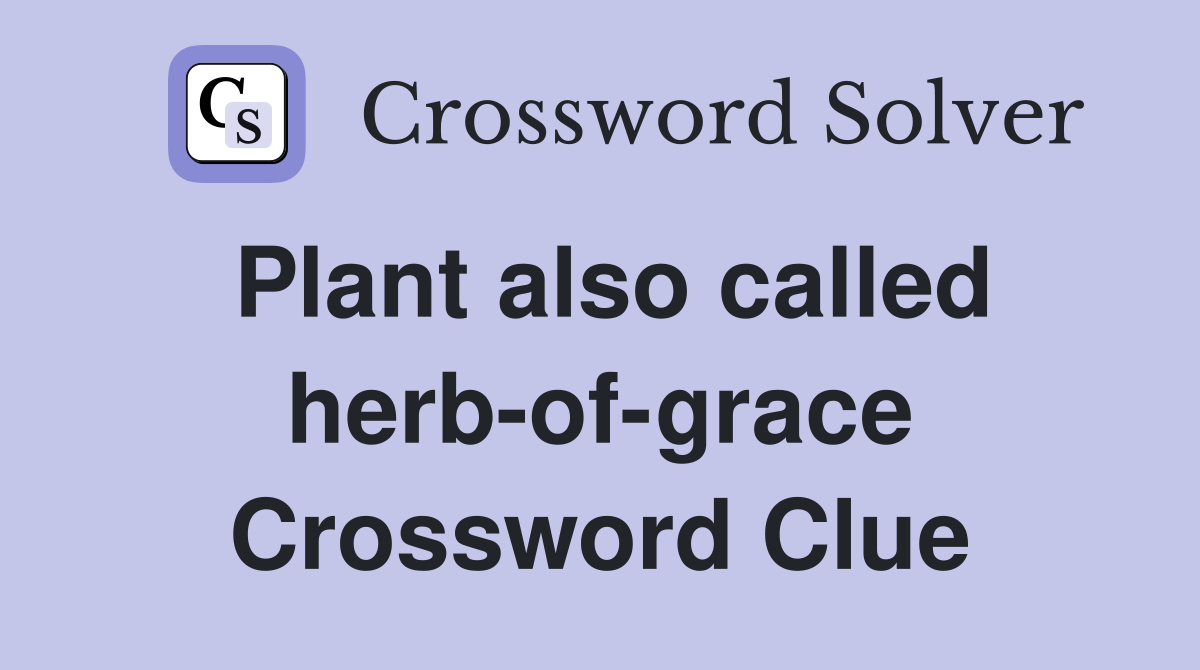 Plant also called herb-of-grace Crossword Clue