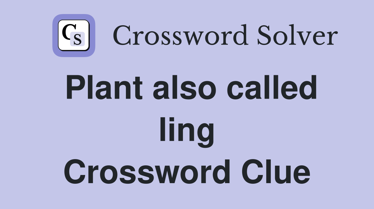 Plant also called ling Crossword Clue