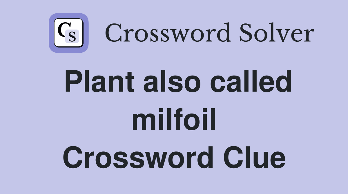 Plant also called milfoil Crossword Clue