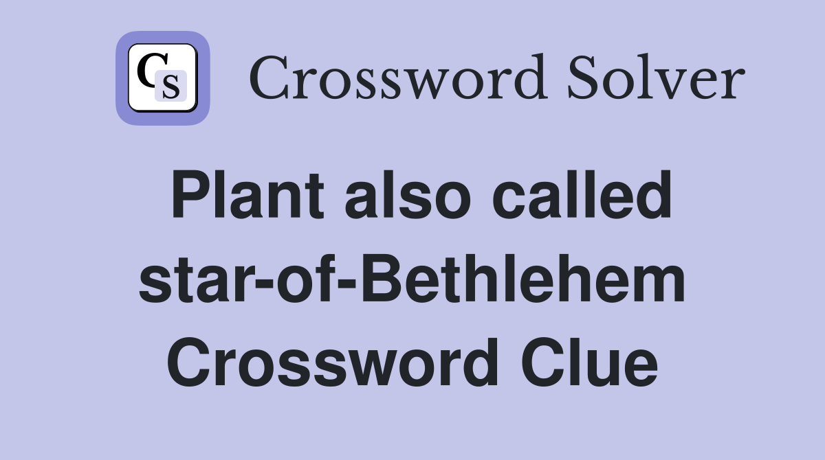 Plant also called star-of-Bethlehem Crossword Clue