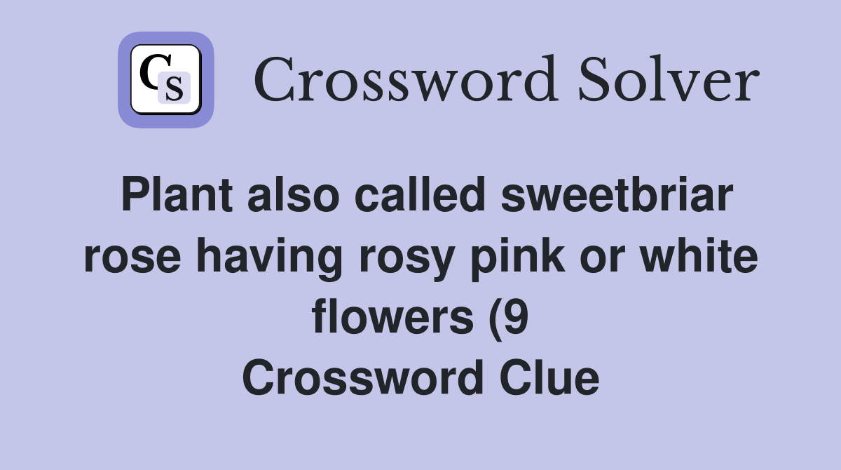 Plant also called sweetbriar rose having rosy pink or white flowers (9 Plant also called sweetbriar rose having rosy pink or white flowers (9