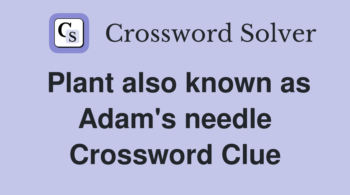 Plant also known as Adam's needle Crossword Clue
