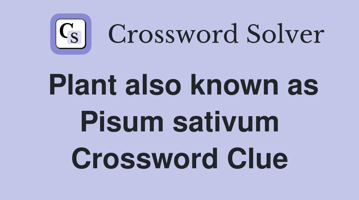 Plant also known as Pisum sativum Crossword Clue