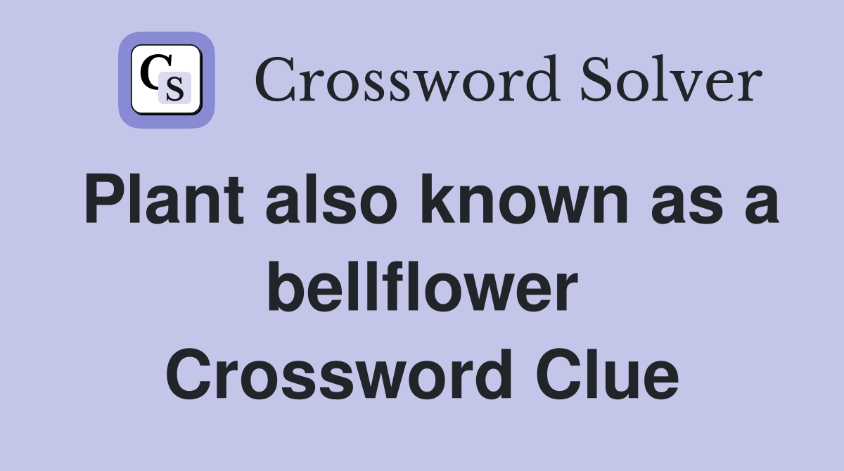Plant also known as a bellflower Crossword Clue