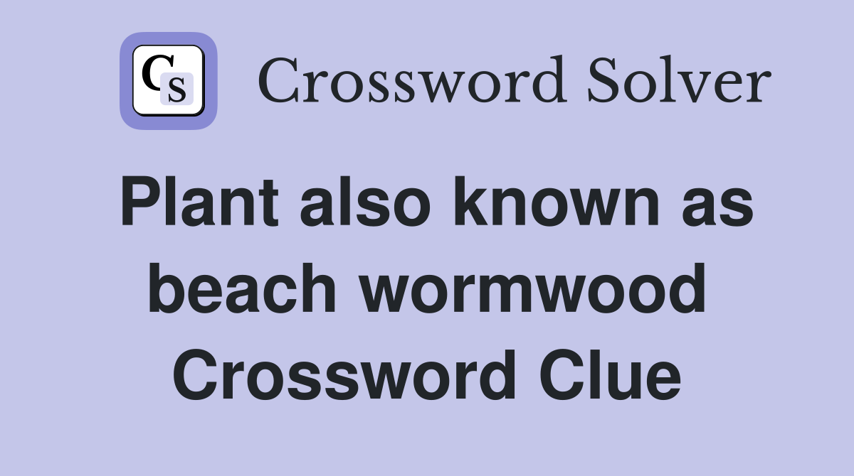 Plant also known as beach wormwood Crossword Clue
