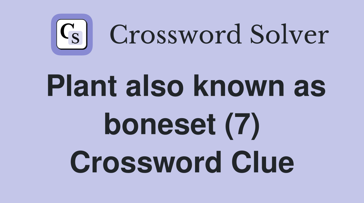 Plant also known as boneset (7) Crossword Clue
