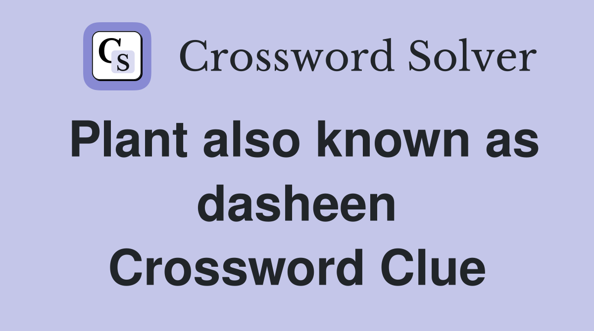 Plant also known as dasheen Crossword Clue